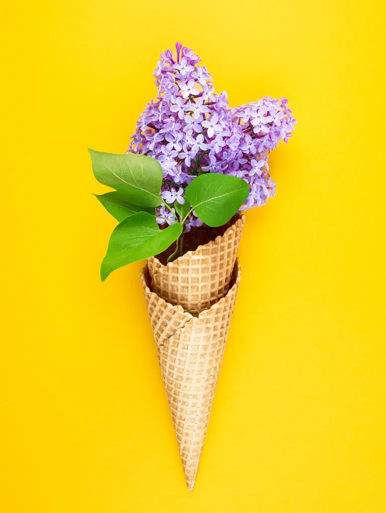 Ice cream cone on a yellow background fille with purple flowers and green leaves.