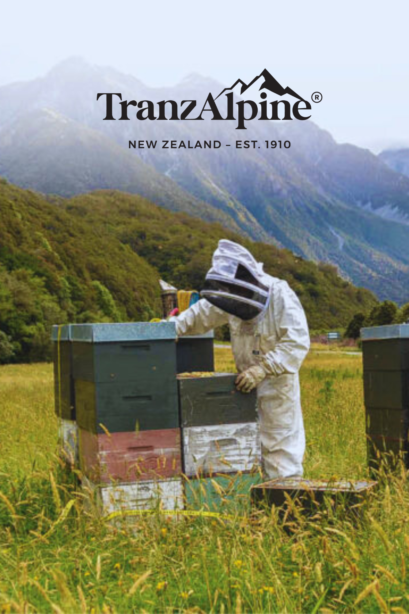 TranzAlpine Honey Video Script